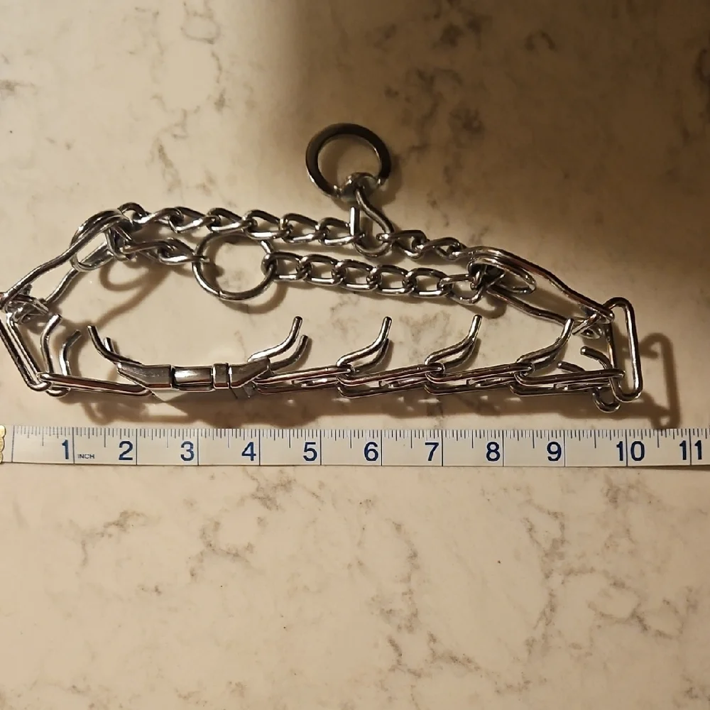 Dog Prong Collar